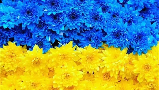 Відбудуться заходи з нагоди святкування 20-ї річниці прийняття Конституції України та Дня молоді