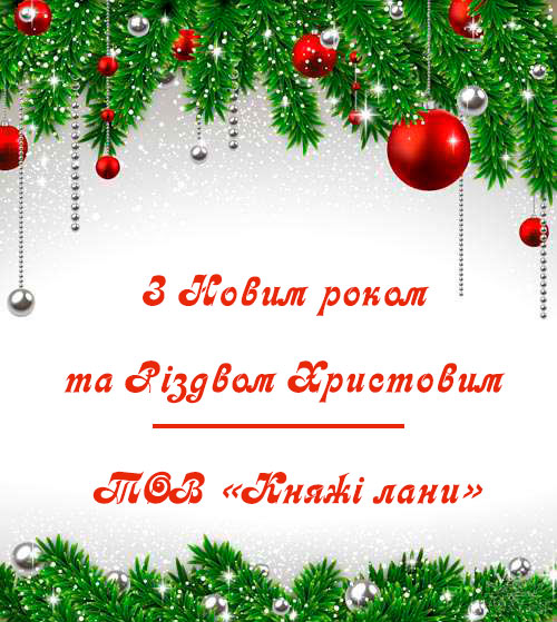 Вітання з Новим роком та Різдвом Христовим від ТОВ «Княжі лани»