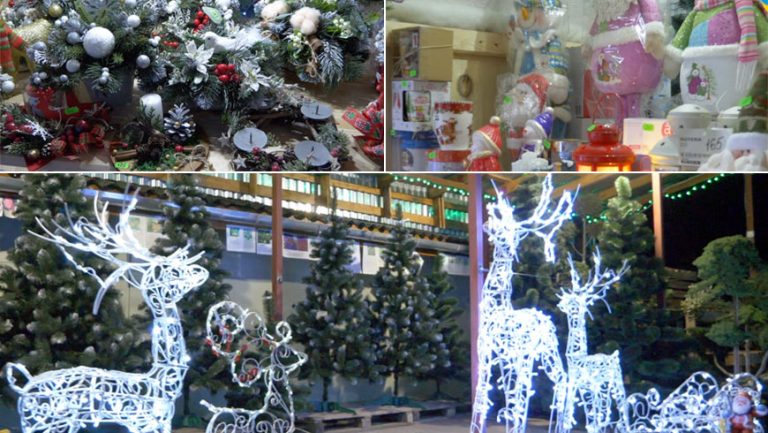 “Садовий центр” у Золочеві пропонує великий вибір новорічних прикрас та подарунків (відео)