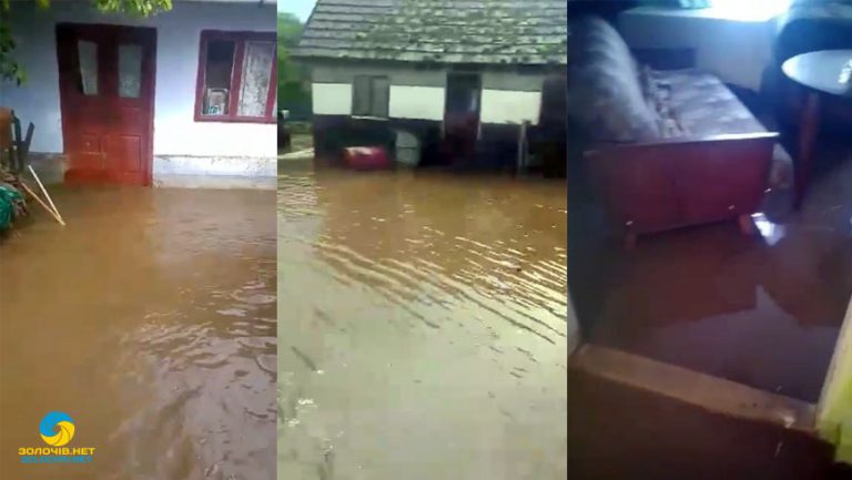 Вдруге за тиждень затопило будинок жительки Золочівського району (відео)