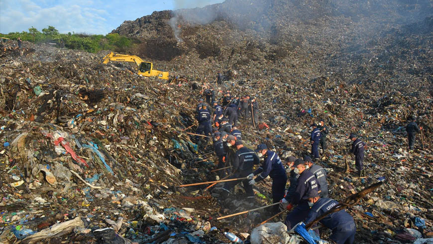 Грибовицька трагедія