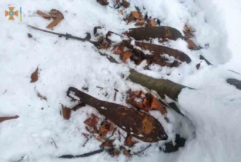 В лісі у Золочівському районі знайдено застарілі боєприпаси (відео)