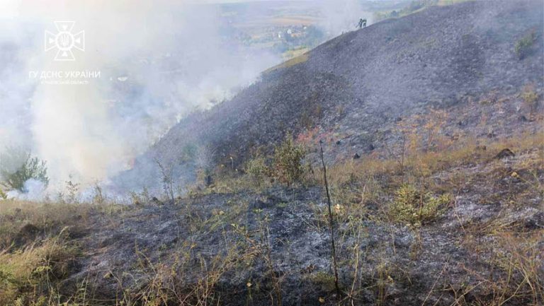 У Золочівському районі вогнеборці ліквідували пожежу сухостою