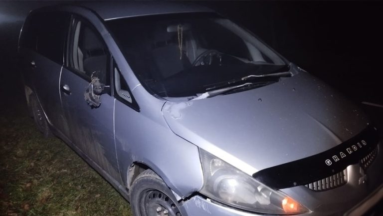 Травмовано 17-річного пішохода: розслідують обставини ДТП